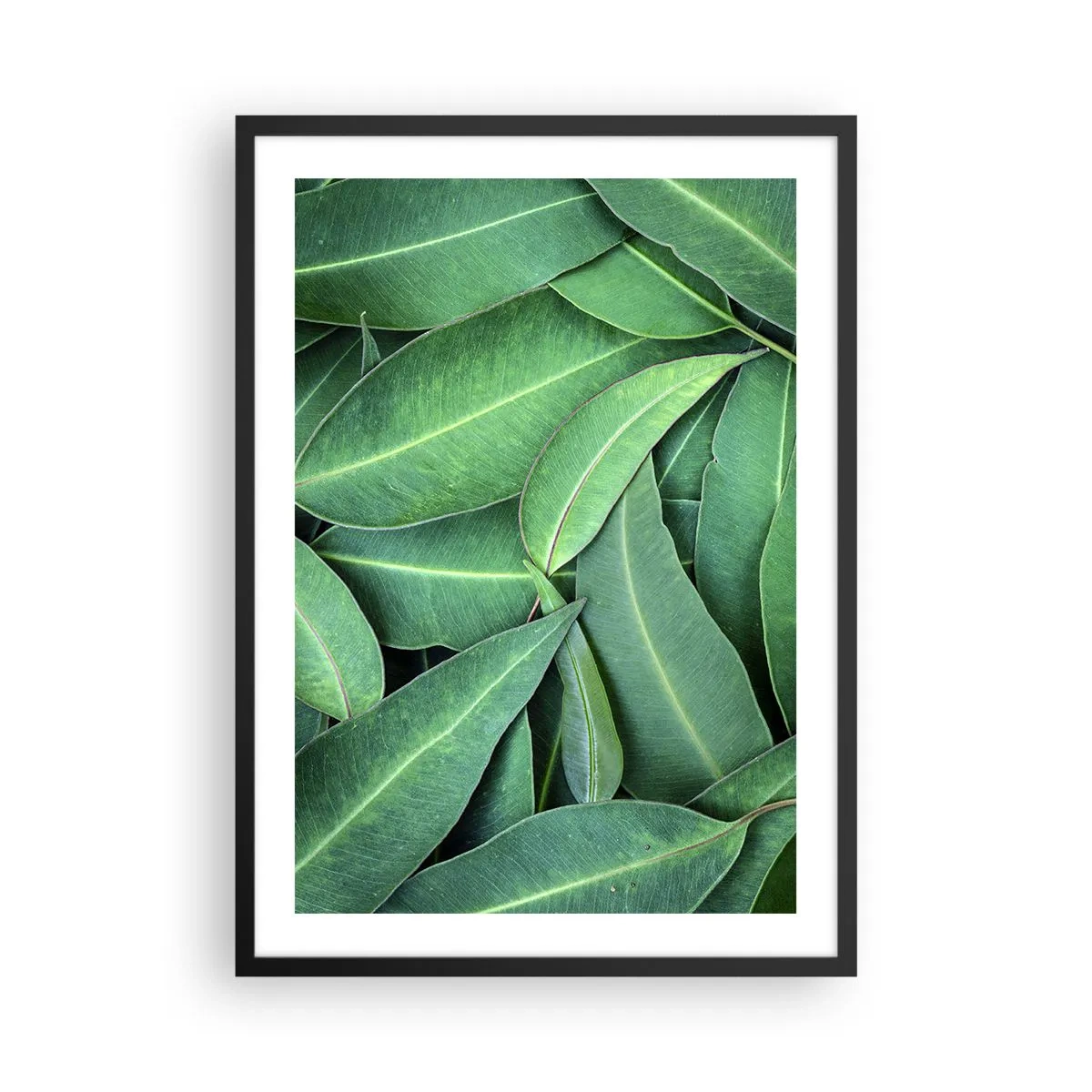 Poszter fehér keretben - Sűrű kompozícióban elrendezett zöld levelek - 50x70cm - Lédús és friss - Modern fali dekoráció nappalihoz és hálószobához ARTTOR
