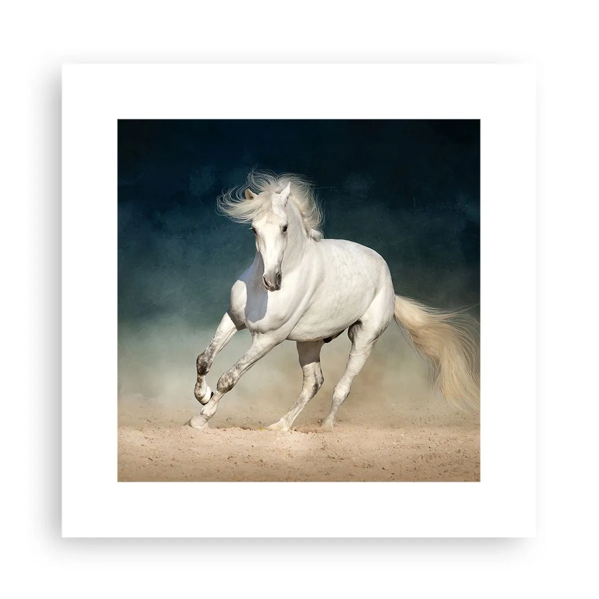 Poszter - A szabadság tiszta állapotban - 30x30 cm