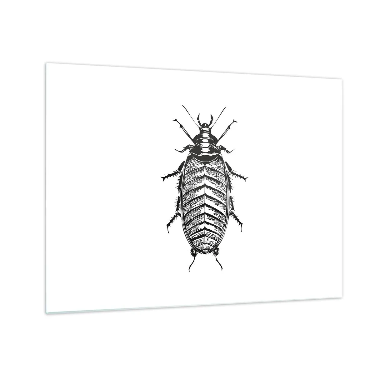 Üveg kép - Rovar fekete-fehér illusztrációja fehér alapon - 70x50cm - Micsoda példány! - Modern fali dekoráció nappalihoz és hálószobához ARTTOR