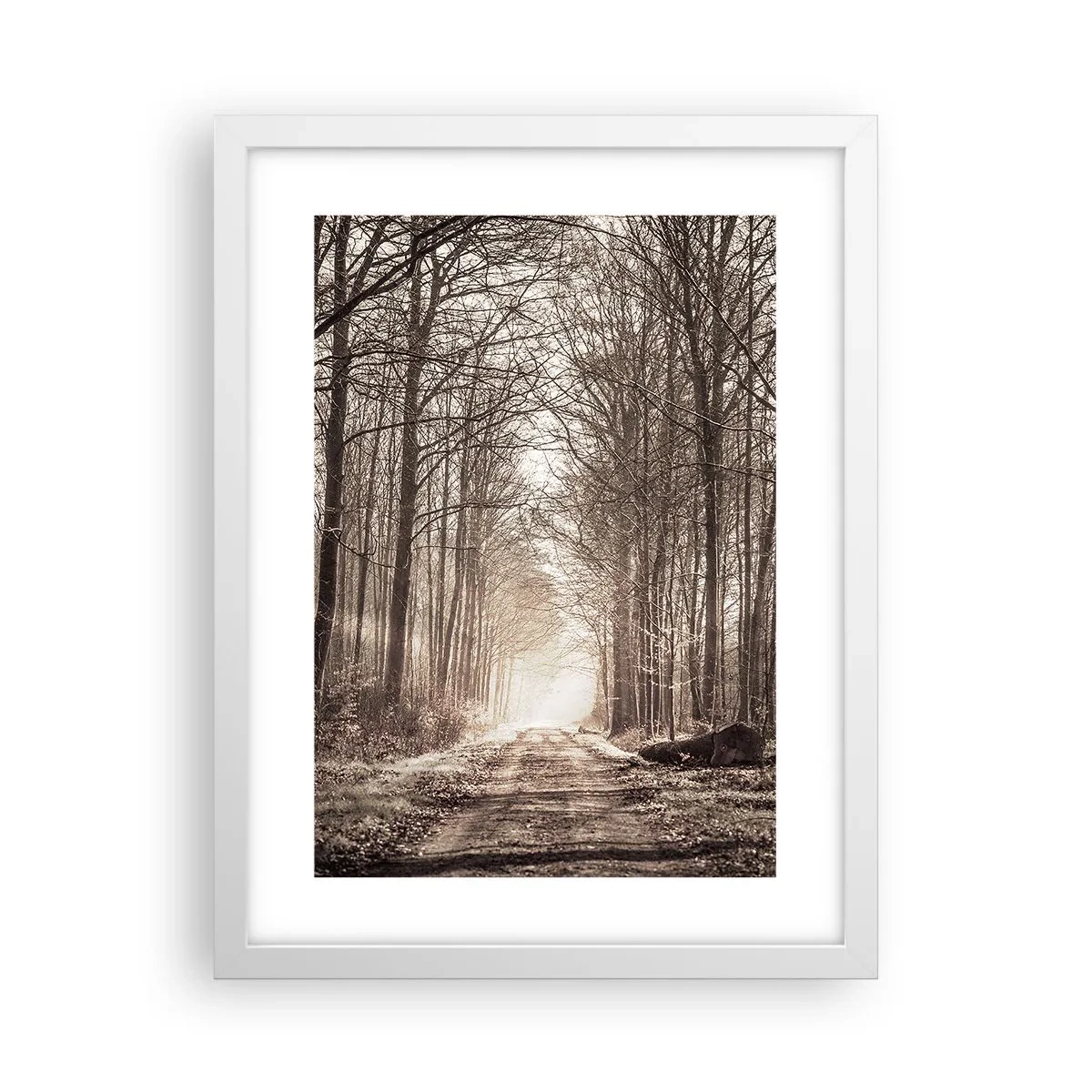 Poszter fekete keretben - Erdei katedrális - 30x40 cm