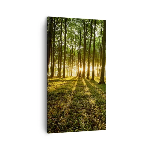 Vászonkép - Minden tavasz fotója - 45x80 cm
