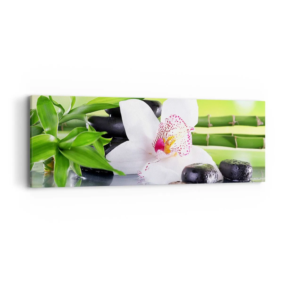Vászonkép - Hűvös frissesség - 90x30 cm