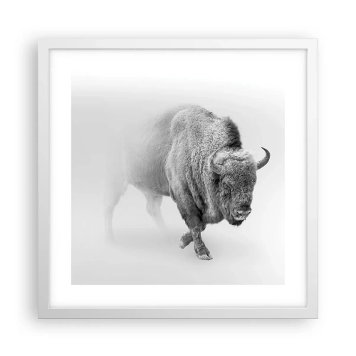 Poszter fekete keretben - A préri királya - 40x40 cm