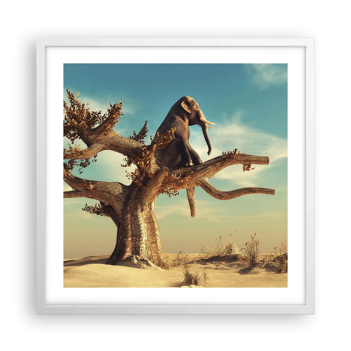 Poszter fekete keretben - Egy új nézőpont - 50x50 cm