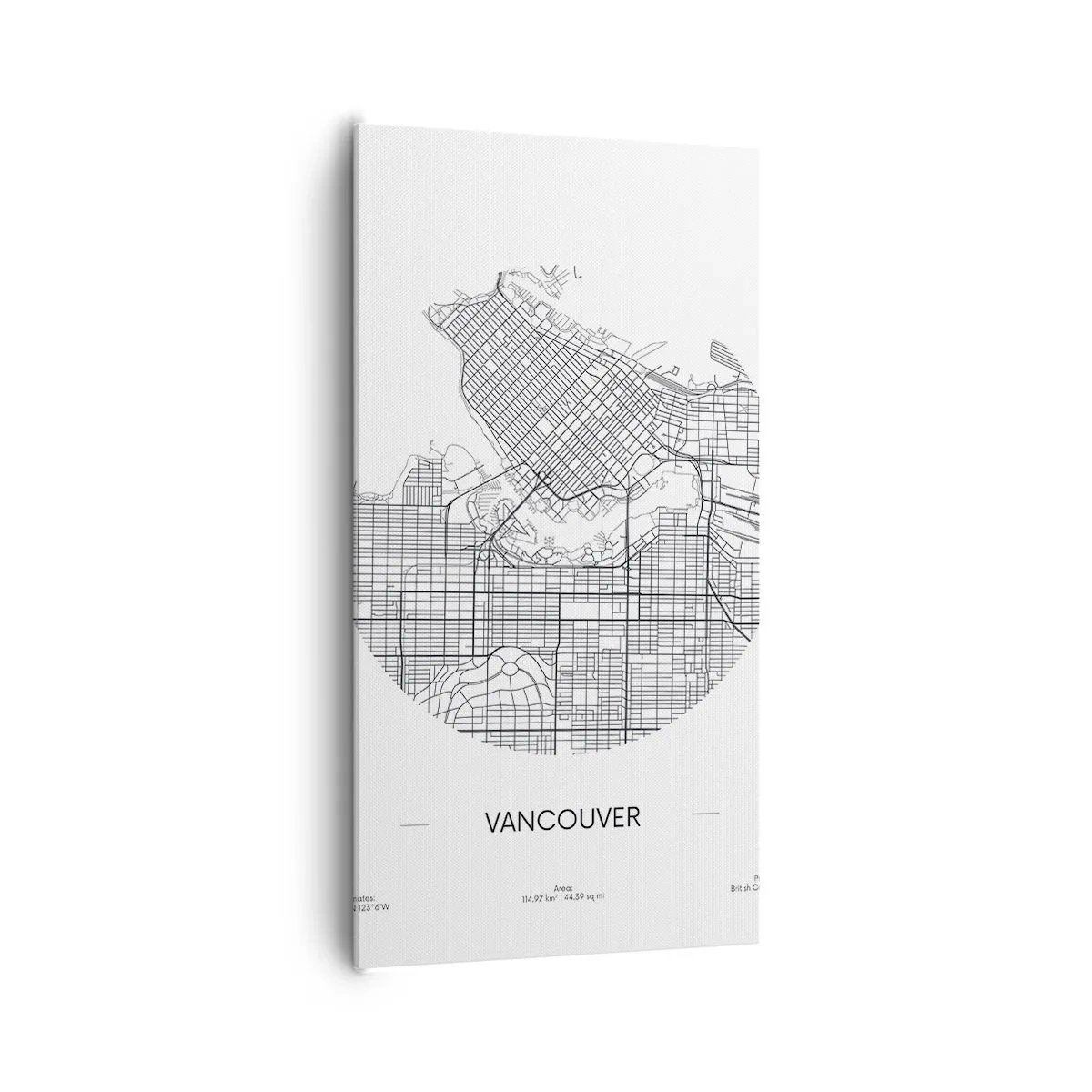 Vászonkép - Vacouver anatómiája - 65x120 cm