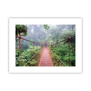 Poszter - A lomkoronák fölé függesztve - 40x30 cm