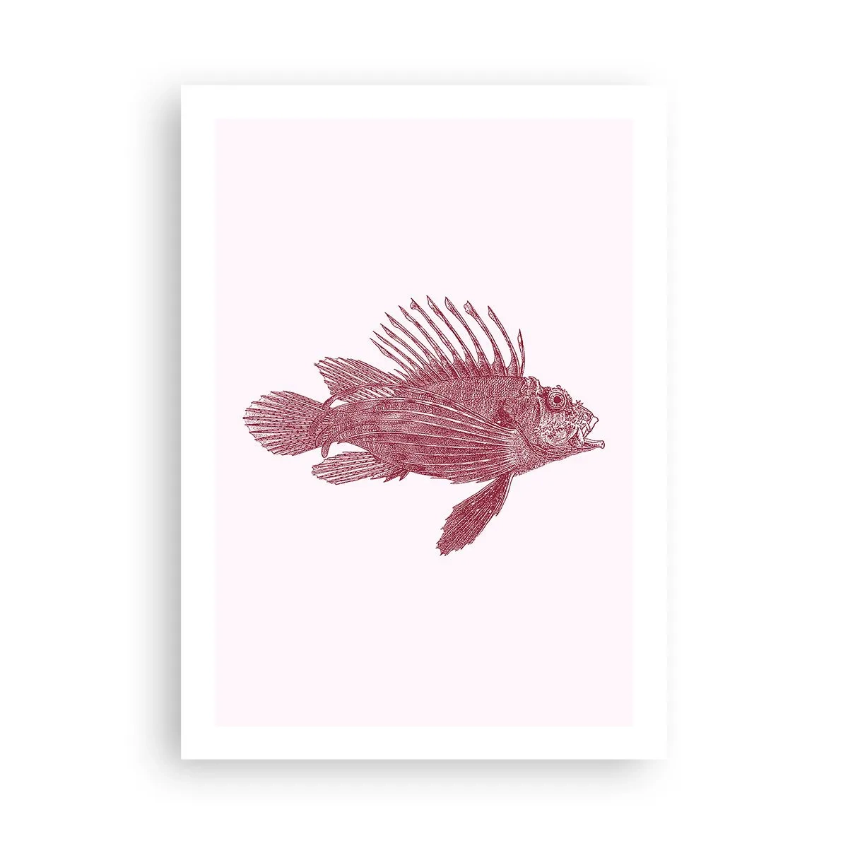Poszter - Egzotikus vizek lakója - 50x70 cm
