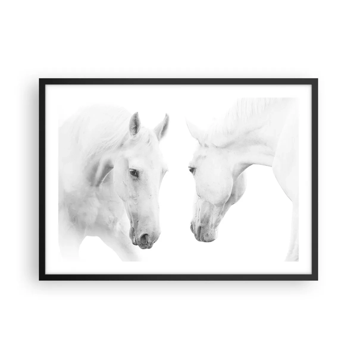 Poszter fehér keretben - Ez a barátság...? - 70x50 cm