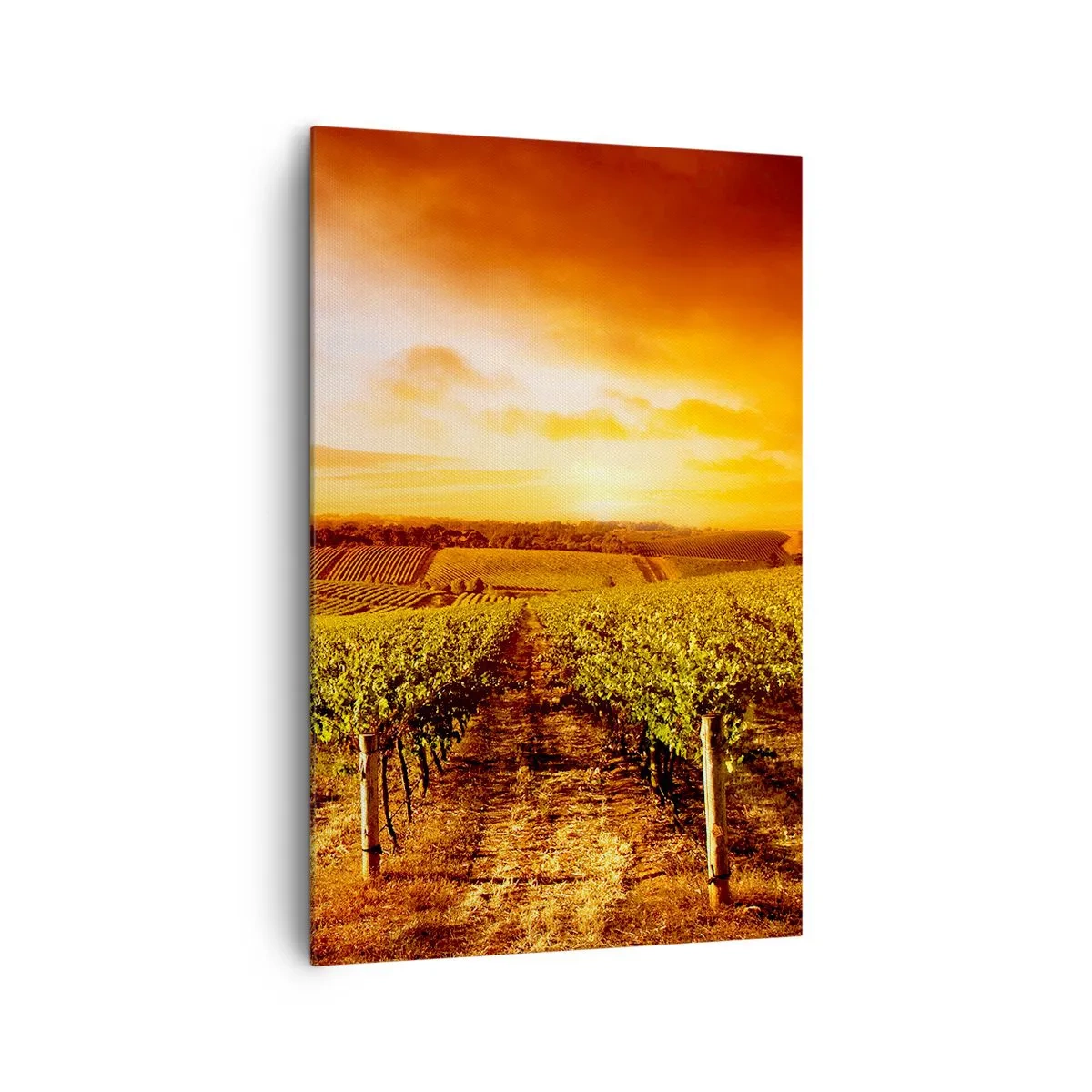 Vászonkép - Enyhén gyümölcsös, egy kis napfénnyel - 80x120 cm