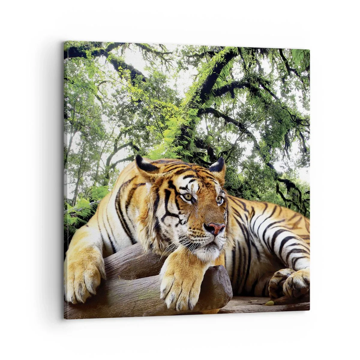 Vászonkép - Tisztelettel - 60x60 cm