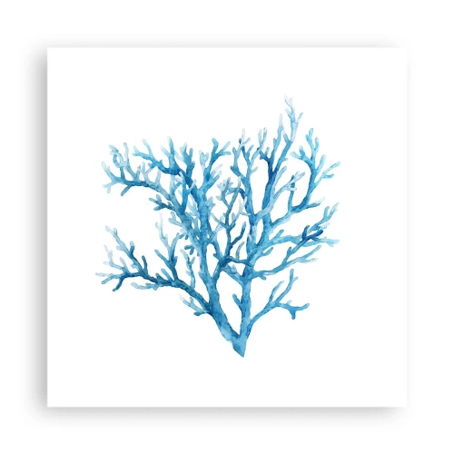 Poszter - Tengeri filigrán - 40x40 cm