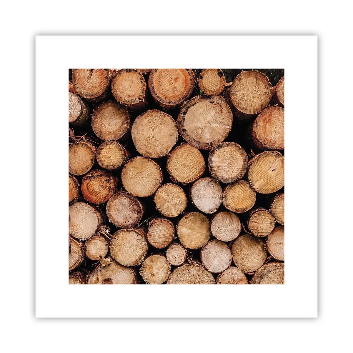 Poszter - Egy új kezdet - 30x30 cm