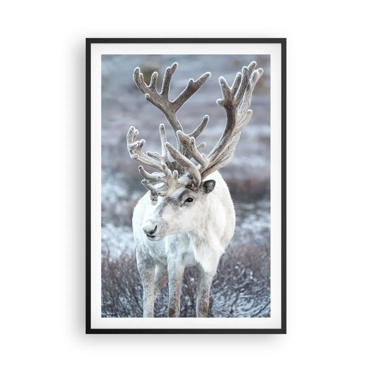 Poszter fehér keretben - Portré a napon - 61x91 cm