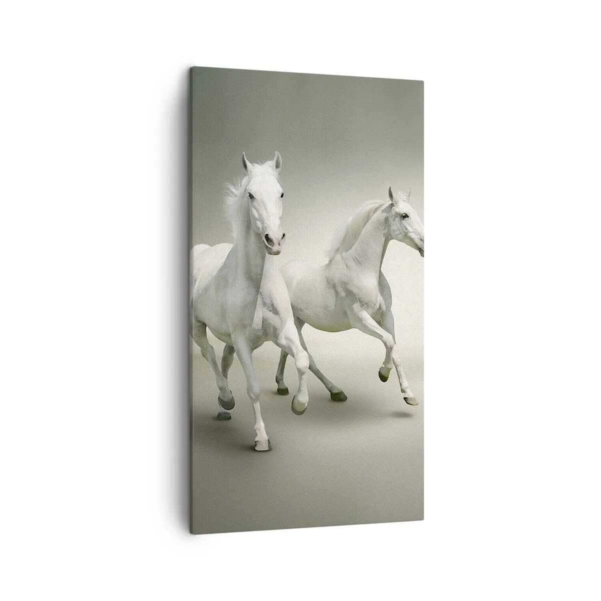 Vászonkép - Fehér erő! - 45x80 cm