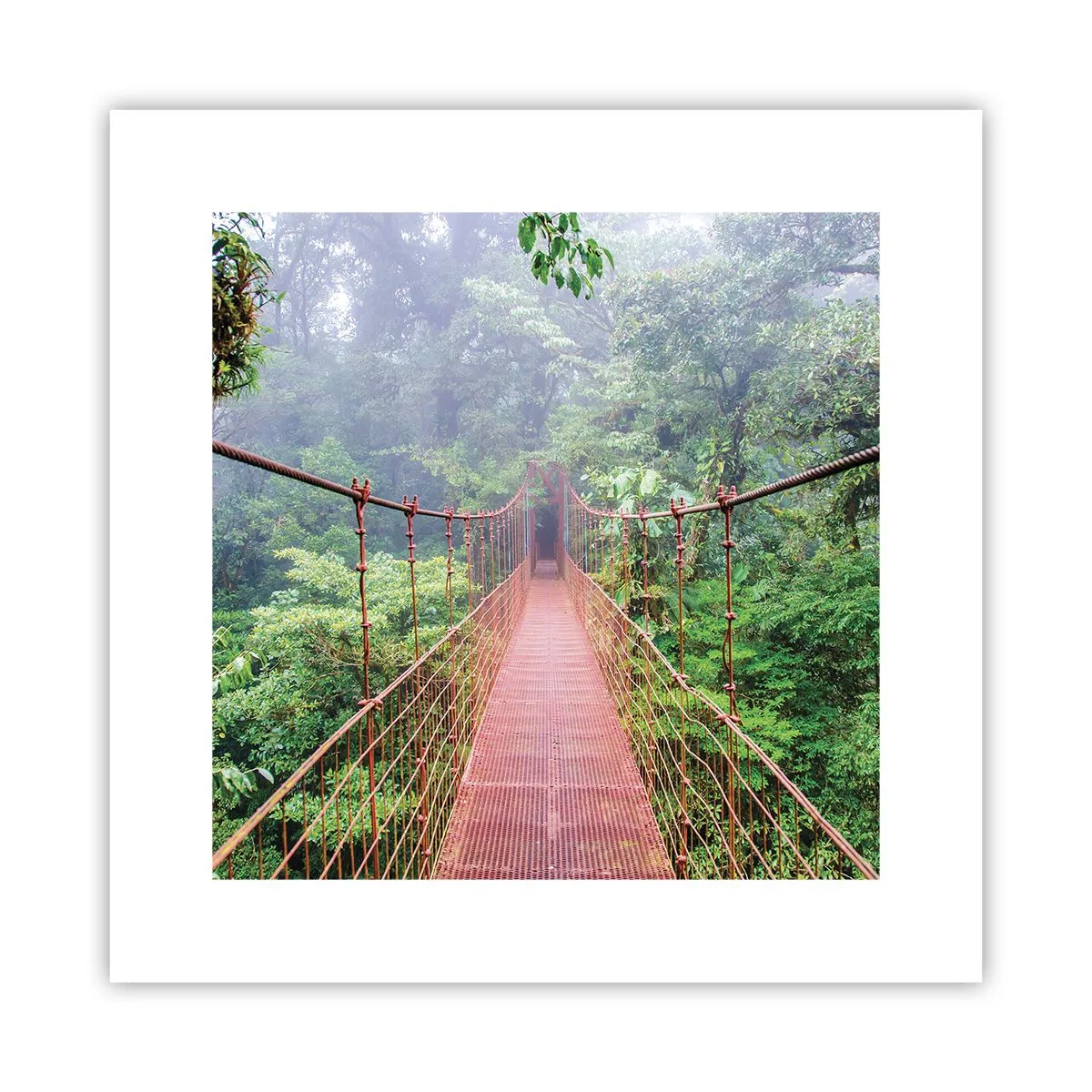 Poszter - A lomkoronák fölé függesztve - 30x30 cm