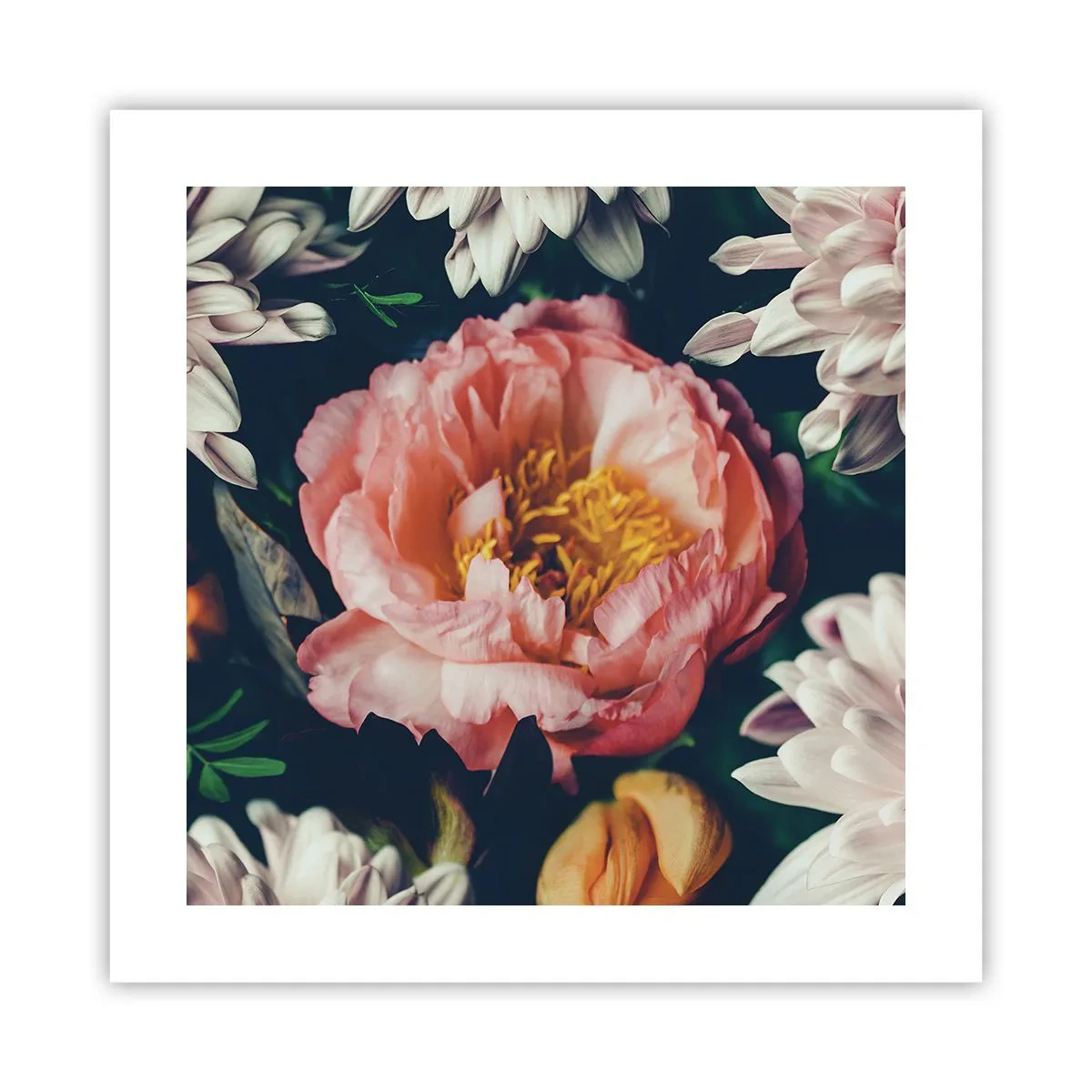 Poszter - Barokk pompával - 40x40 cm