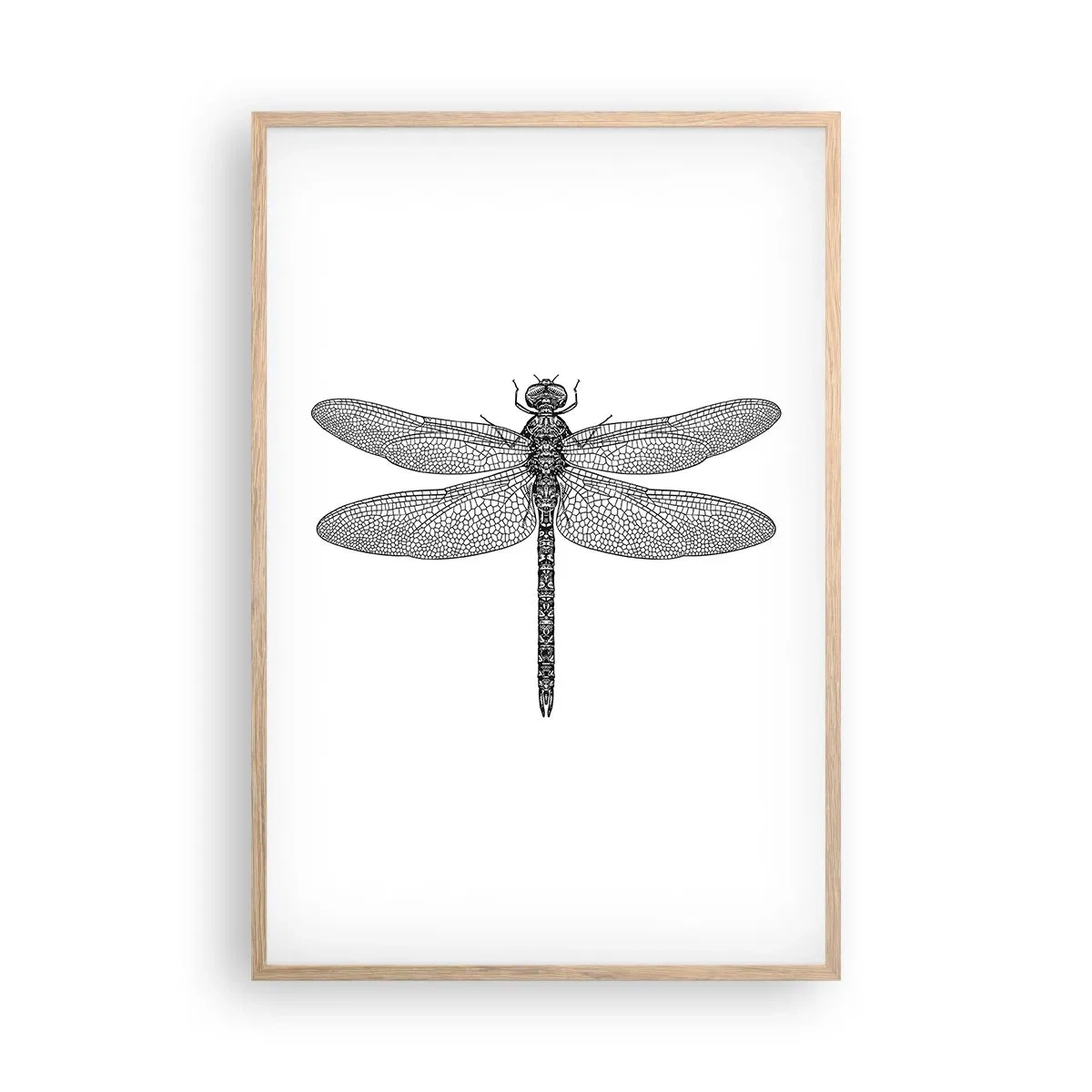 Poszter világos tölgy keretben - A természet precizitása - 61x91 cm