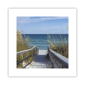 Poszter - Napsütésben, szélben - 30x30 cm