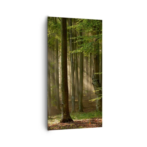 Vászonkép - Ragyogó tavaszi reggelen - 65x120 cm