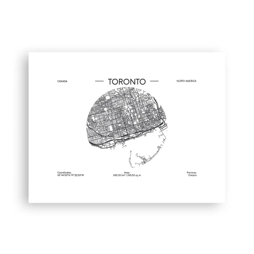 Poszter - Toronto anatómiája - 40x30 cm