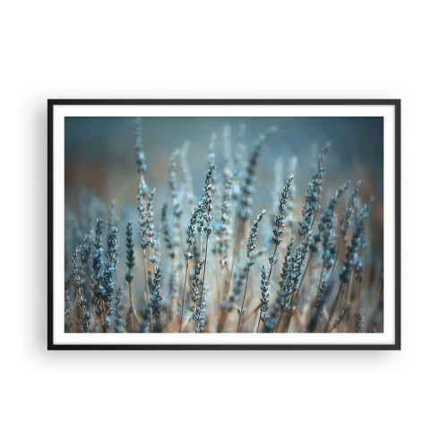 Poszter fehér keretben - Illatos szálak - 100x70 cm