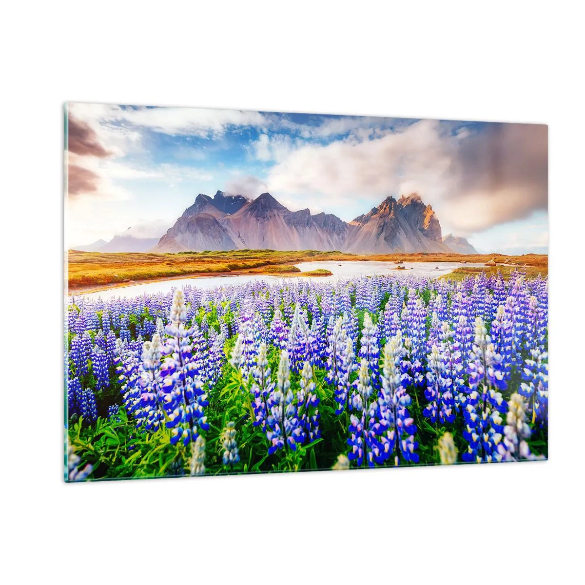 Üveg kép - Erő és szigorúság a szelídség mellett - 120x80 cm