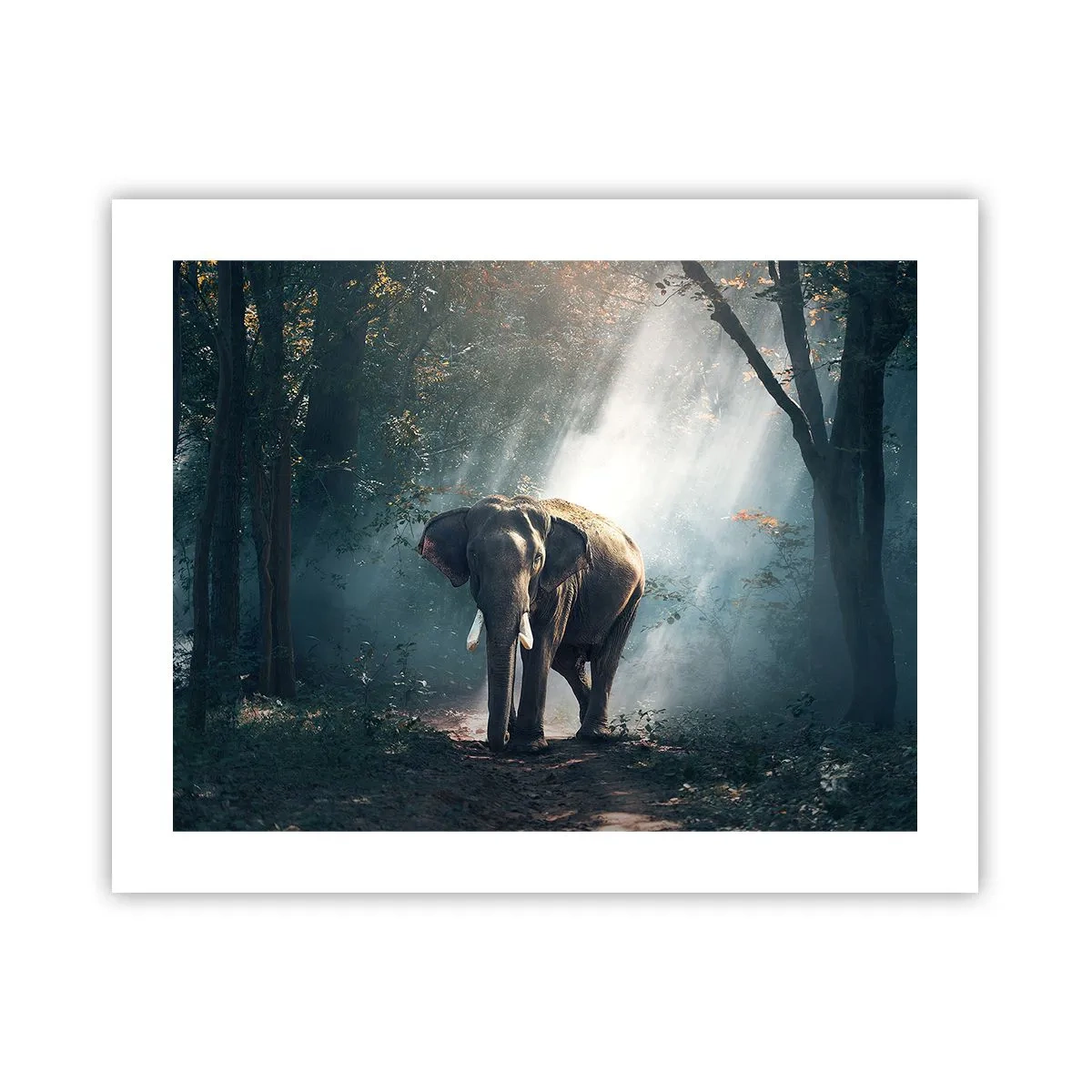 Poszter - Nyugodt séta - 50x40 cm