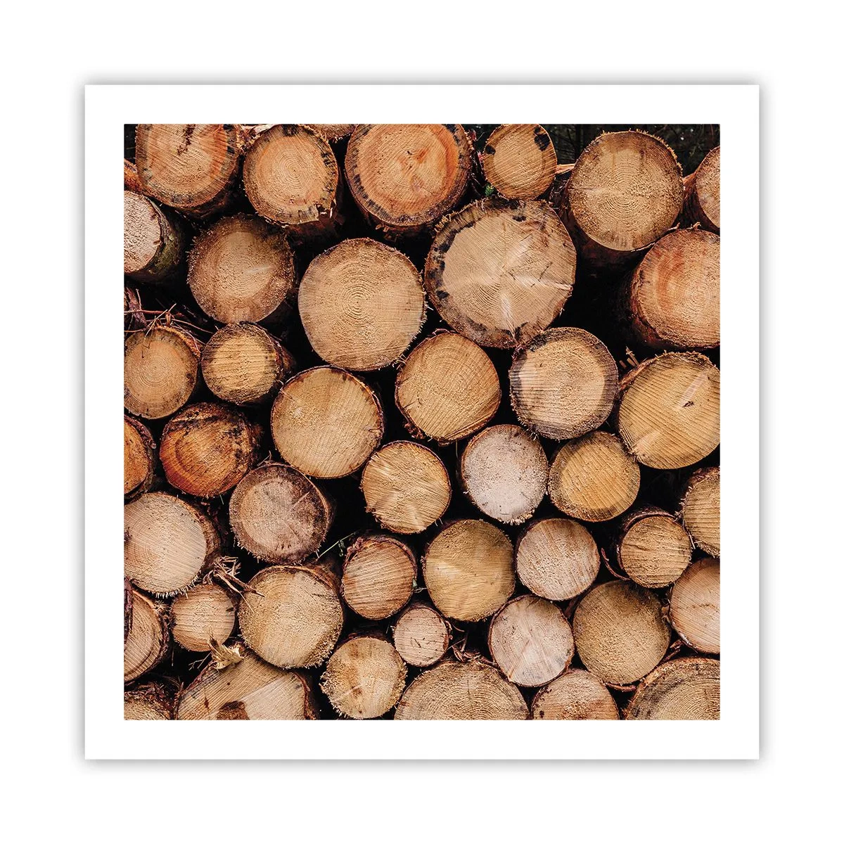 Poszter - Egy új kezdet - 60x60 cm