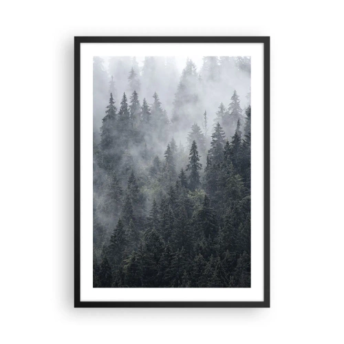 Poszter fehér keretben - Ködös erdő magas tűlevelű fákkal - 50x70cm - Erdei hajnal - Modern fali dekoráció nappalihoz és hálószobához ARTTOR
