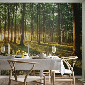 Fotótapéta Premium Canvas - Minden tavasz fotója - Tájkép, Erdő, Természet - 250x175 cm