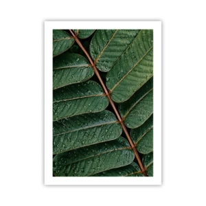 Poszter - Zöld ritmusban - 50x70 cm