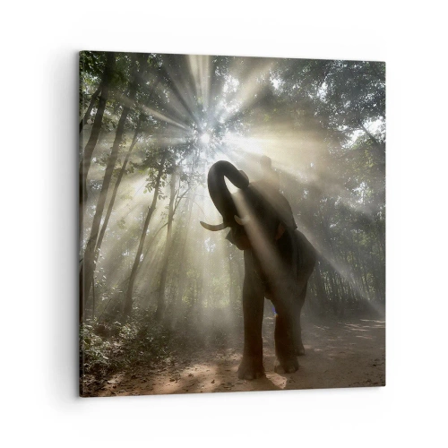 Vászonkép - A szerencsecsillag alatt - 50x50 cm