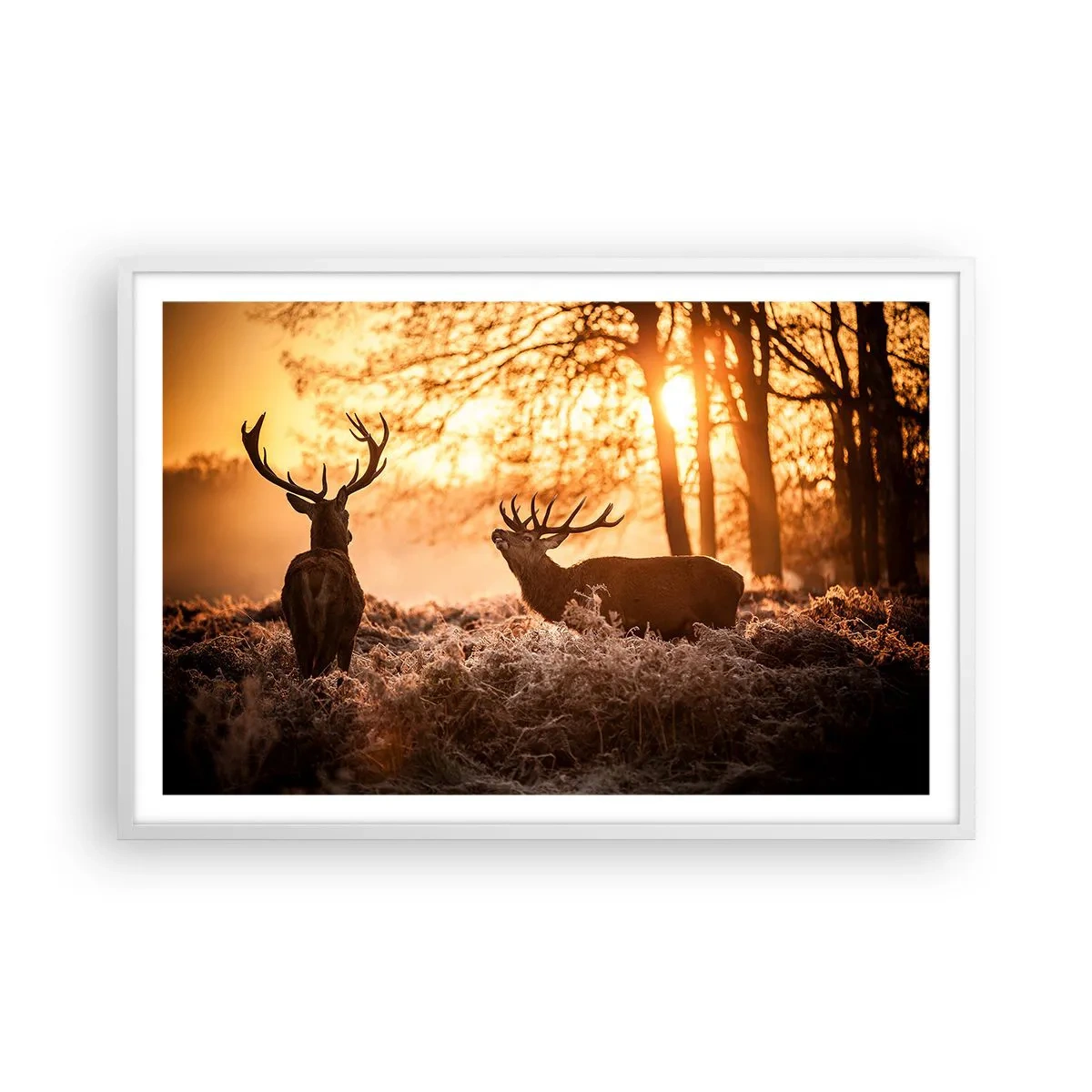 Poszter fekete keretben - Vadász álma - 91x61 cm