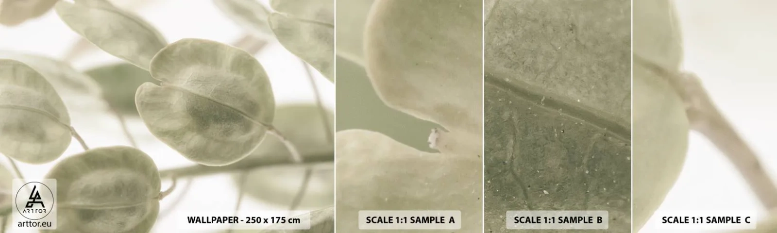 Fotótapéta Minta Standard Eco - Kezdetben levelek voltak... - Virágok, Nyugodt, Levelek - 100x30 cm