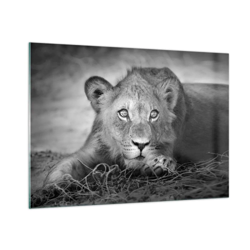 Üveg kép - Királyi kölyök - 100x70 cm