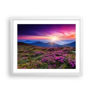 Poszter fekete keretben - A gyógynövények friss fürtjei illatoztak a mezőkről - 50x40 cm