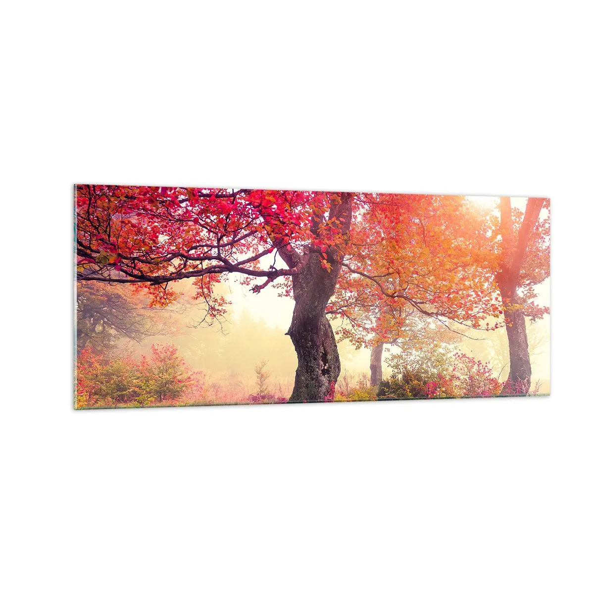 Üveg kép - Virágzás őrülete - 100x40 cm