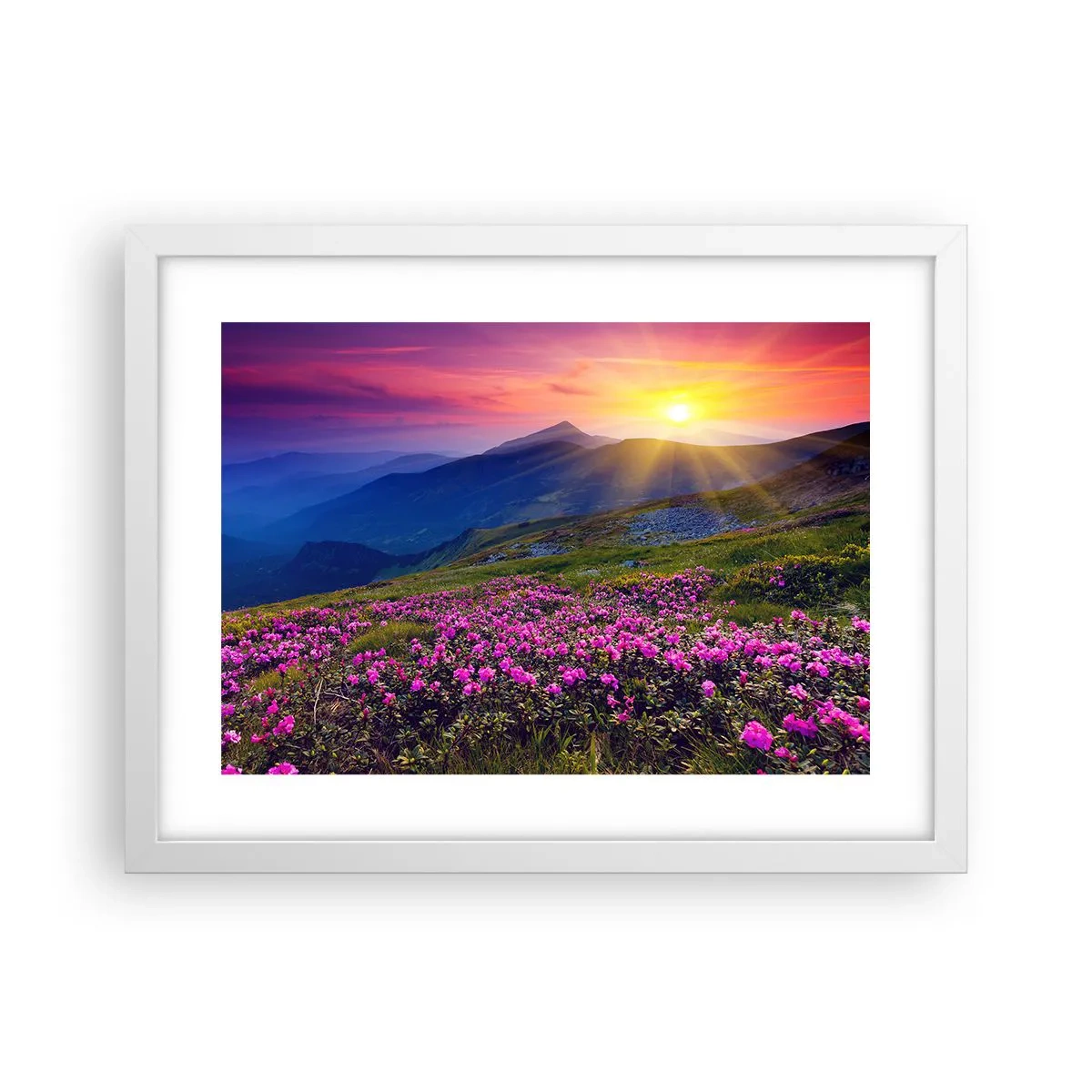 Poszter fekete keretben - … És körülötte hegyi fenyő és gyógynövények illata - 40x30 cm