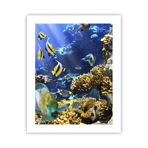 Poszter - Nagy forgalom a nyaraló ösvényen - 40x50 cm