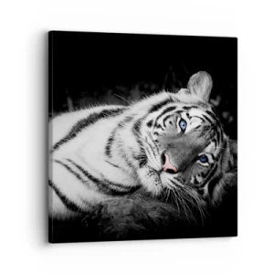 Vászonkép - Vadság és nyugalom - 30x30 cm