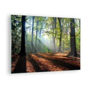 Üveg kép - Egy erdő a nap sugaraiban, őszi tájban - 70x50cm - Ragyogások és árnyékok - Modern fali dekoráció nappalihoz és hálószobához ARTTOR