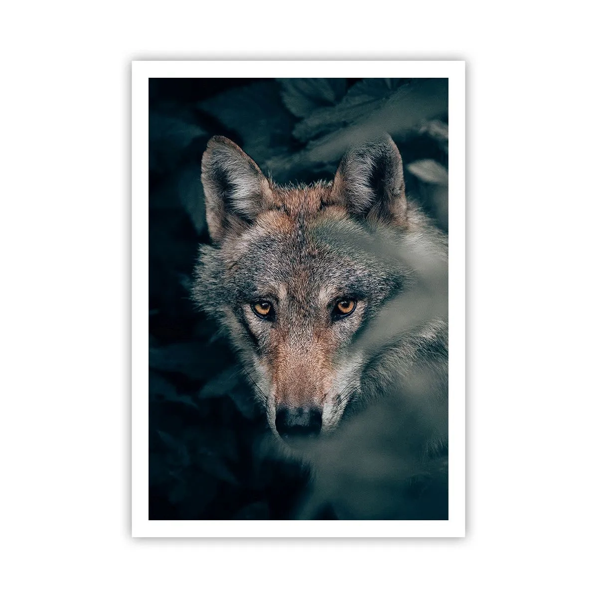 Poszter - Vadász - 70x100 cm