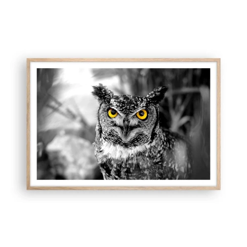 Poszter világos tölgy keretben - Semmi sem fog elbújni - 91x61 cm