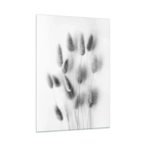 Üveg kép - A bolyhos fű - 50x70 cm