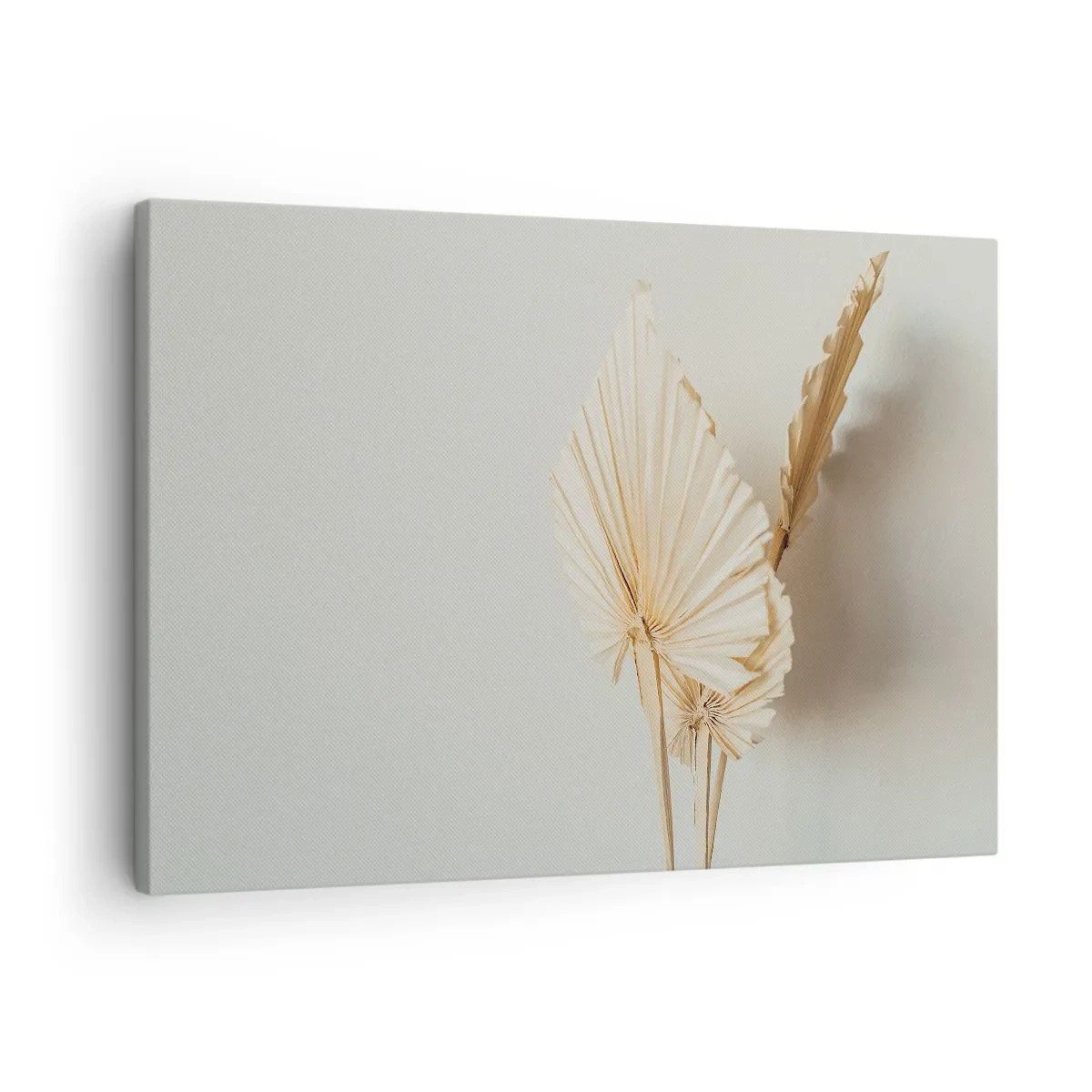 Vászonkép - Szárított pálmalevelek minimalista elrendezésben - 70x50cm - Ha vigaszra van szükséged - Modern fali dekoráció nappalihoz és hálószobához ARTTOR