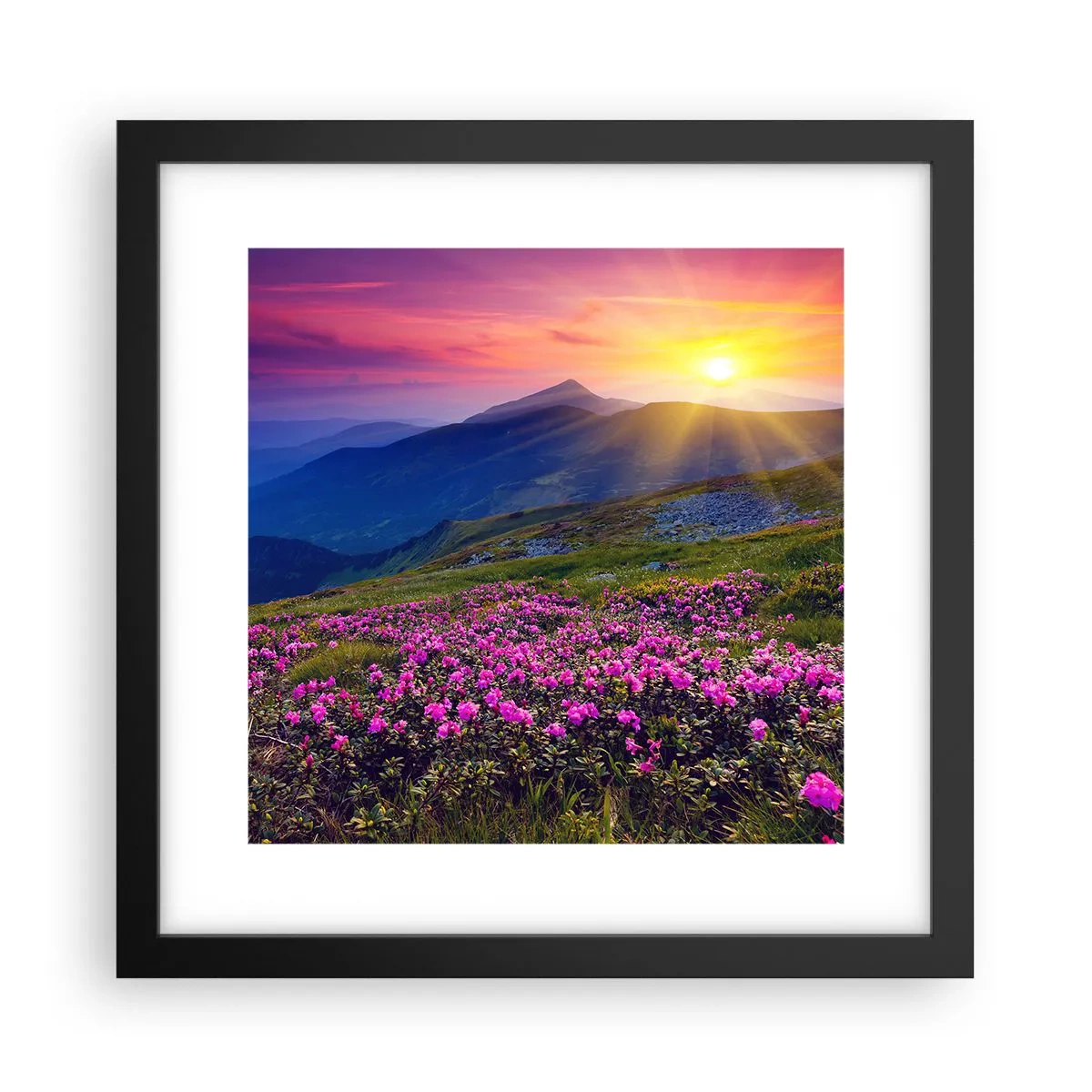 Poszter fehér keretben - … És körülötte hegyi fenyő és gyógynövények illata - 30x30 cm