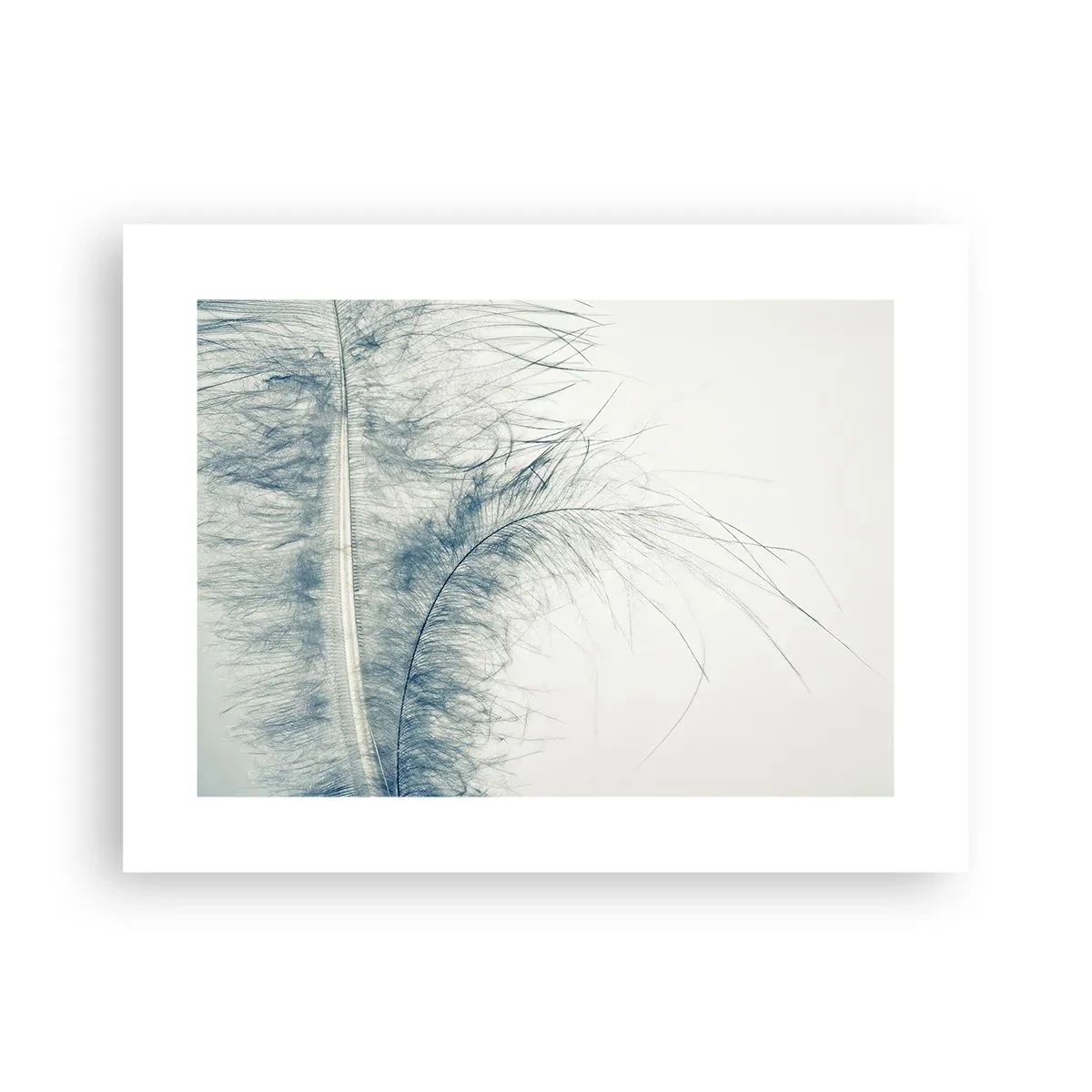 Poszter - A természet suttogása - 40x30 cm