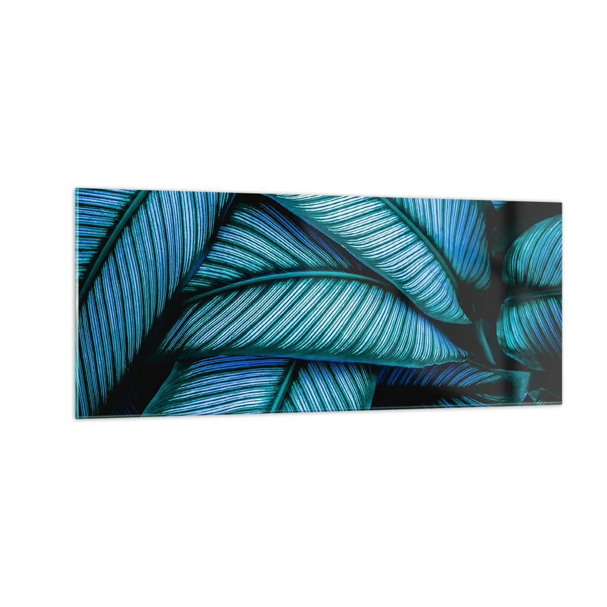 Üveg kép - Életvonalak - 100x40 cm