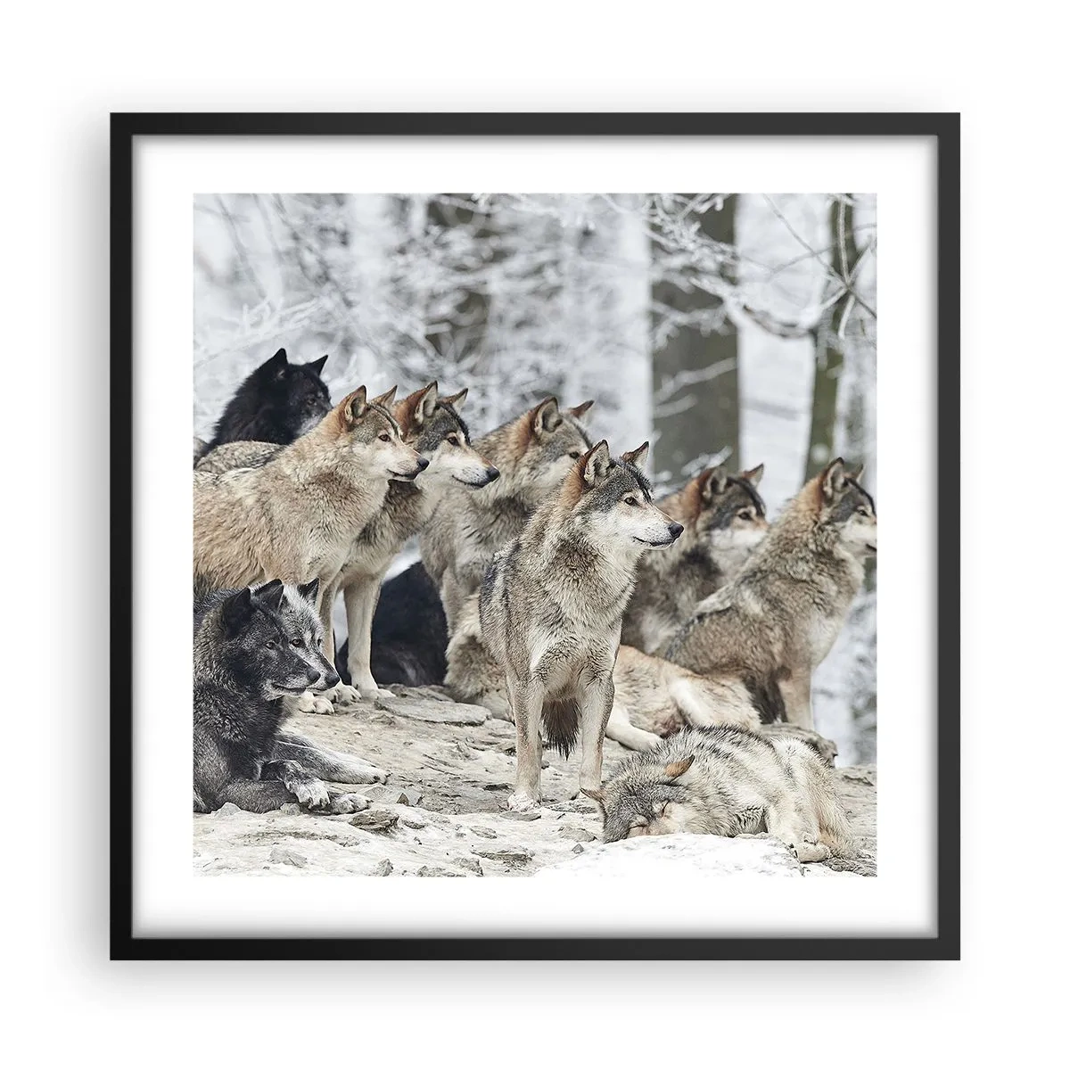 Poszter fehér keretben - Család és barátok - 50x50 cm