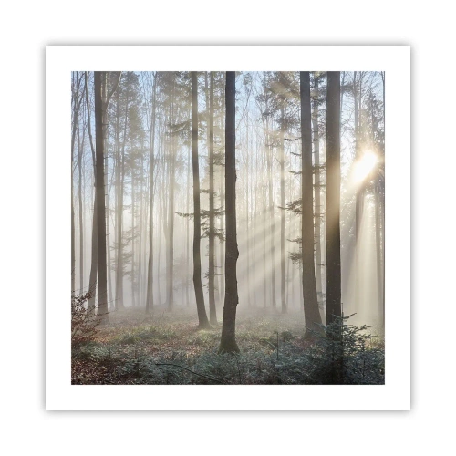 Poszter - A köd is felébredt - 50x50 cm